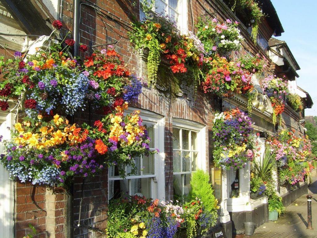 The Castle Inn Hotel Steyning Exterior photo